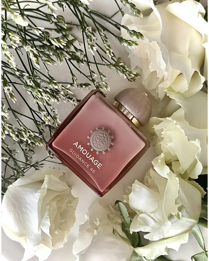 Amouage Guidance 46
